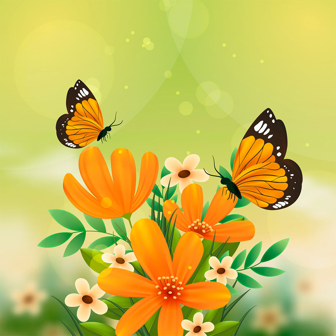 Butterfly Theme